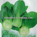 F1 Hybrid Pakchoi Seeds For Growing